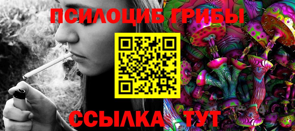 Псилоцибиновые грибы мицелий  Вход с VPN  Тосно 